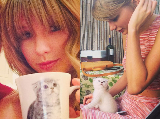 Taylor Swift's Cat Obsession Taylor Swift's Cat Obsession